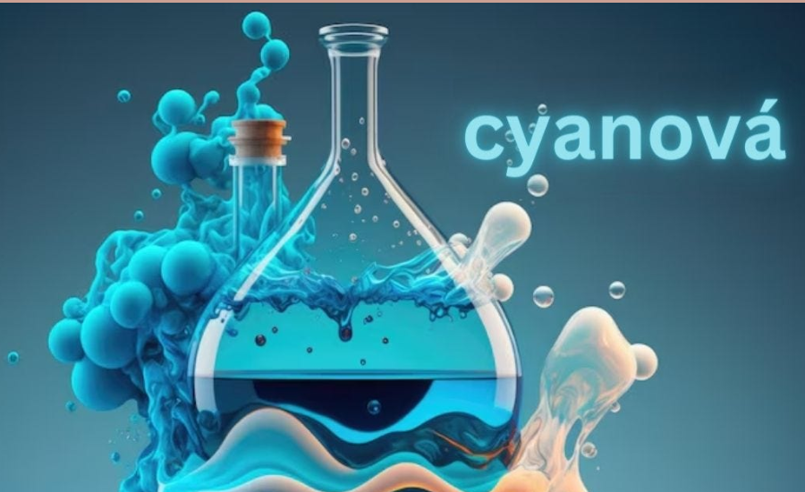 What Is Cyanová?